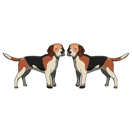 English Foxhound Dog Decal, Dog Lover Decor Vinyl Sticker